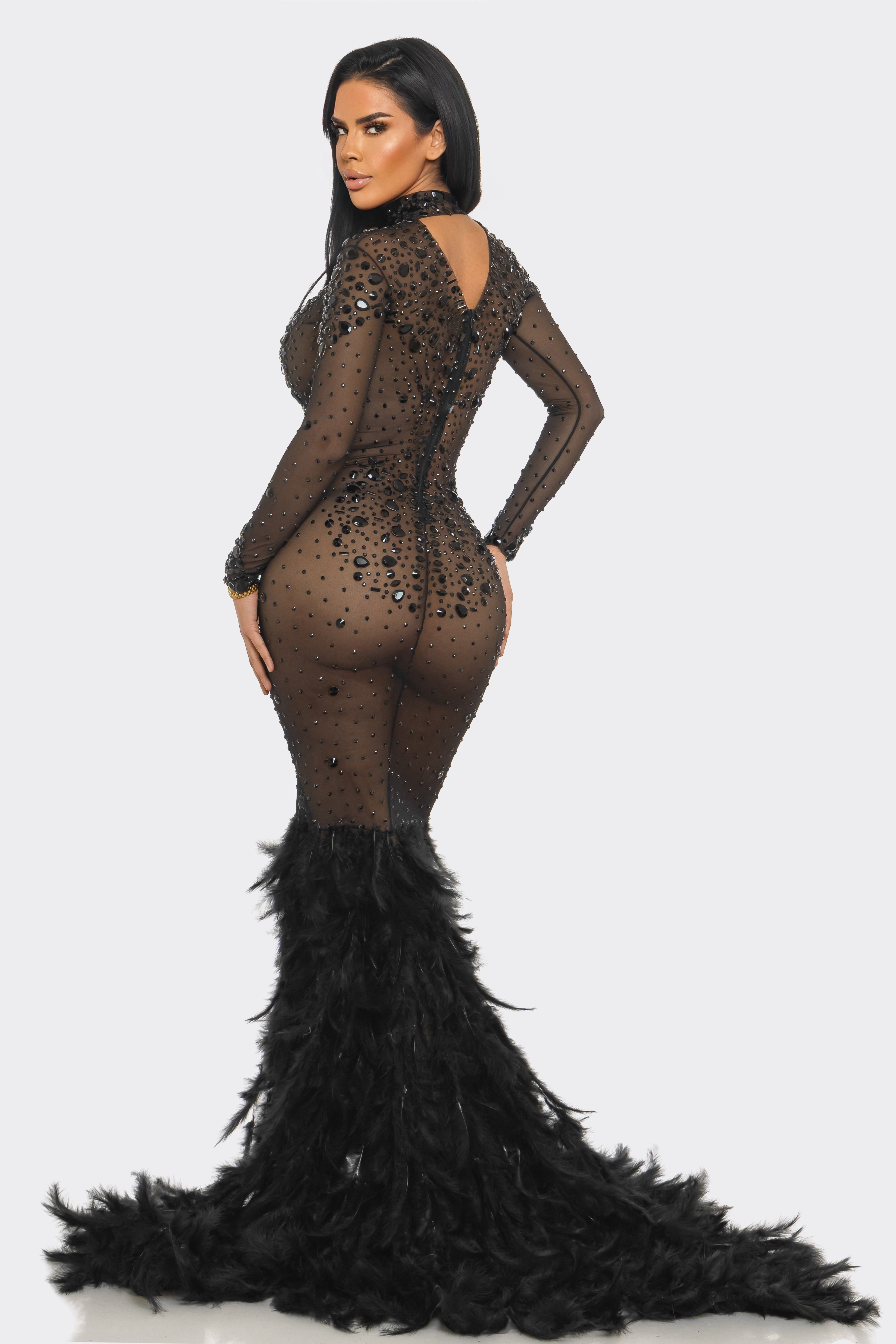 eyes on me rhinestone mesh maxi dress eyes on me rhinestone mesh maxi dress ACTIN BRAND NEW RHINESTONE MESH MAXI DRESS AKIRA